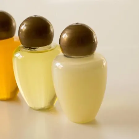 Hotel Leonardo Da Vinci