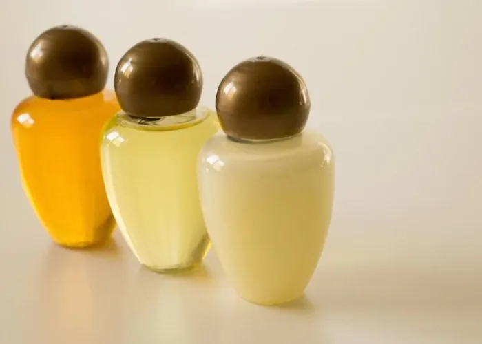 Hotel Leonardo Da Vinci